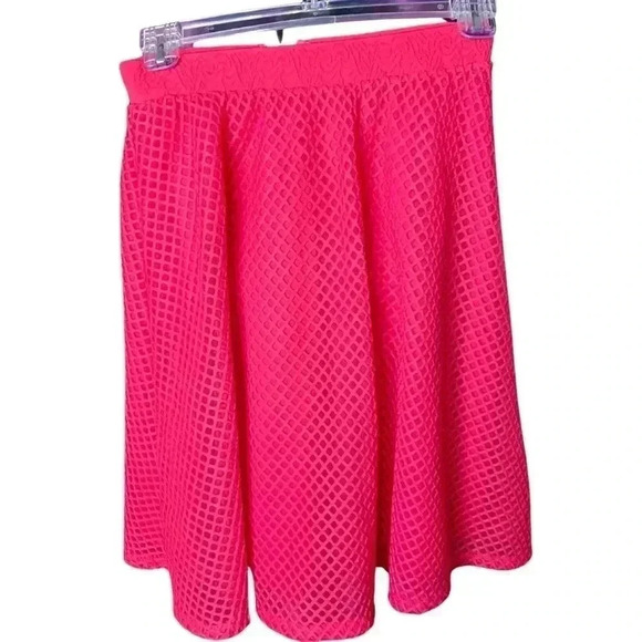 Dresses & Skirts - 💜3/25 Metro Wear Mesh Skirt A Line